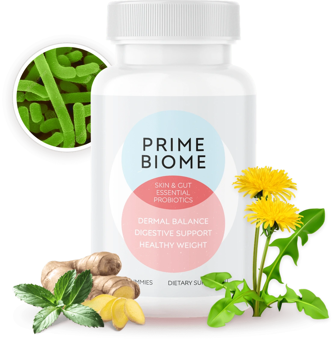primebiome primebiome
